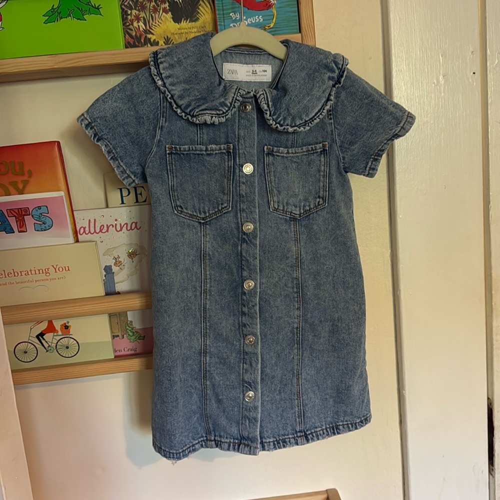 Zara Denim Peter Pan Dress